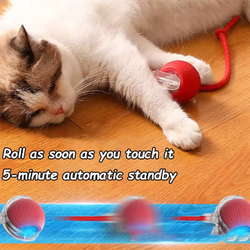 "Automatic Fun for Cats" Games
