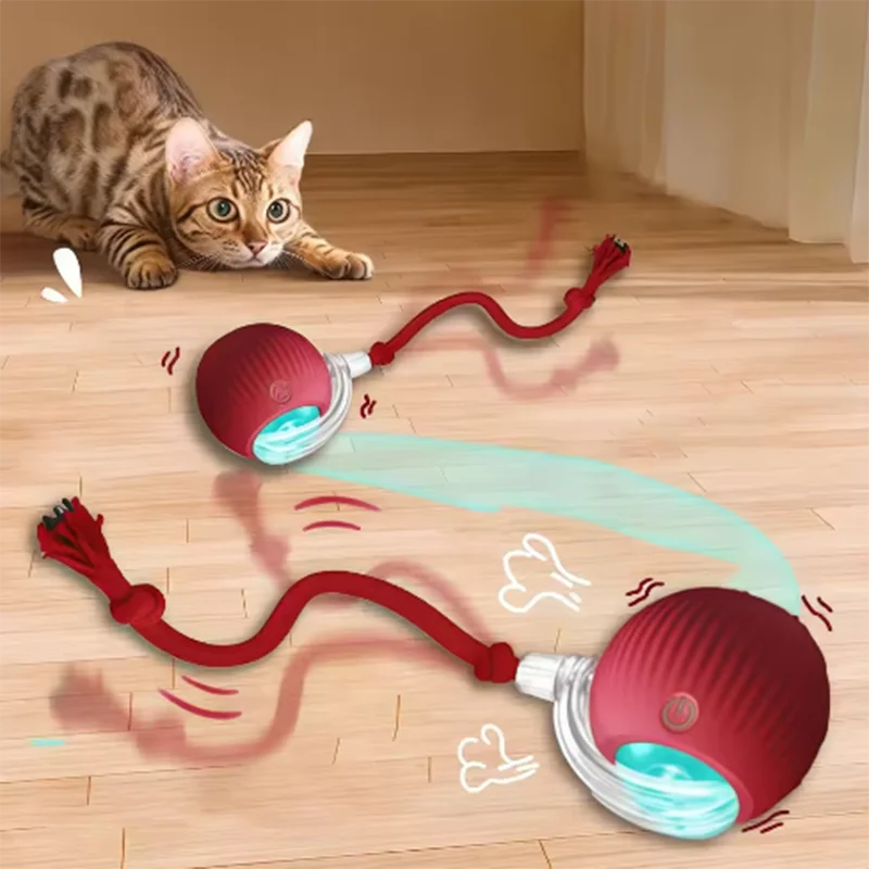 "Automatic Fun for Cats" Games
